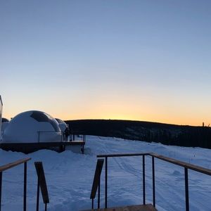 Meet your Posher, Edith